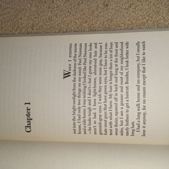 The Outsiders (Author: S.E. Hinton) - Picture 5 of 8